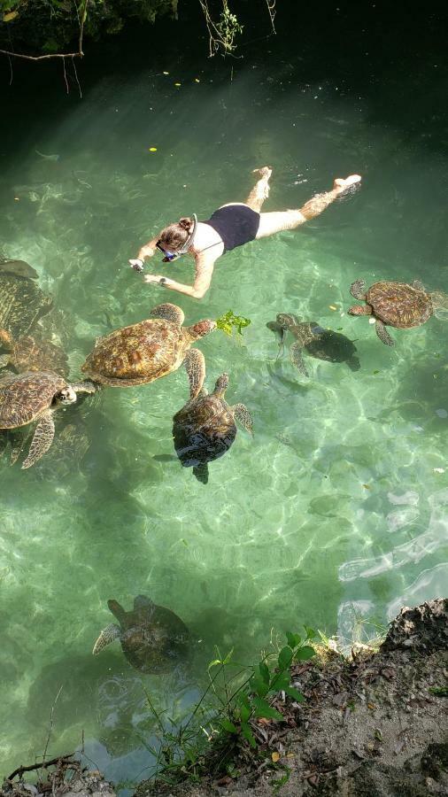 Baraka Aquarium Bungalows 南威 外观 照片